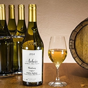 Domaine Frédéric Puffeney - VADANS