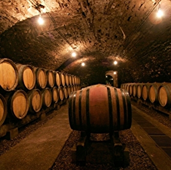 Domaine de la Pousse d'Or - VOLNAY