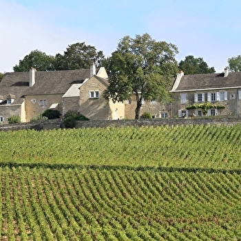 Domaine du Cellier aux Moines - GIVRY